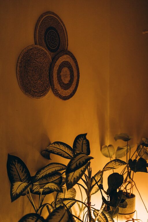 Simple Tips to Create a Cozy and Inviting Home Environment